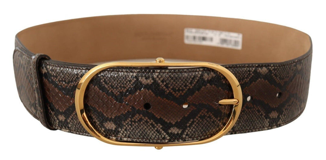  - Dolce & Gabbana Elegant Brown Leather Belt with Gold Buckle - BEL8361 - 80 - Ask Me Wear