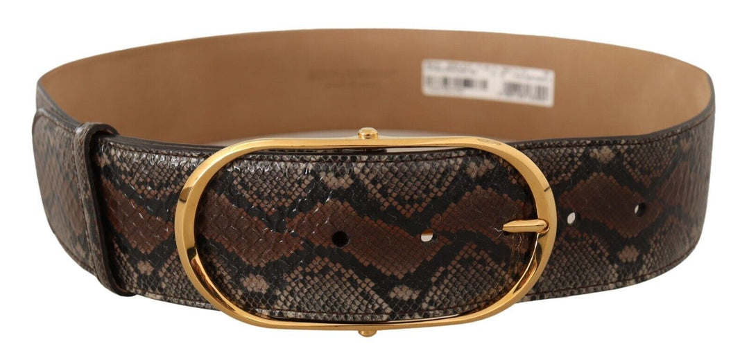  - Dolce & Gabbana Elegant Brown Leather Belt with Gold Buckle - BEL8361 - 80 - Ask Me Wear