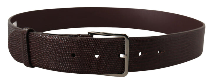  - Dolce & Gabbana Elegant Dark Brown Leather Belt - BEL8611 - 90 - Ask Me Wear