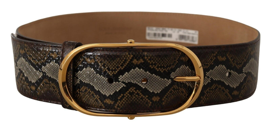  - Dolce & Gabbana Elegant Gold Oval Buckle Leather Belt - BEL8360 - 80 - Ask Me Wear