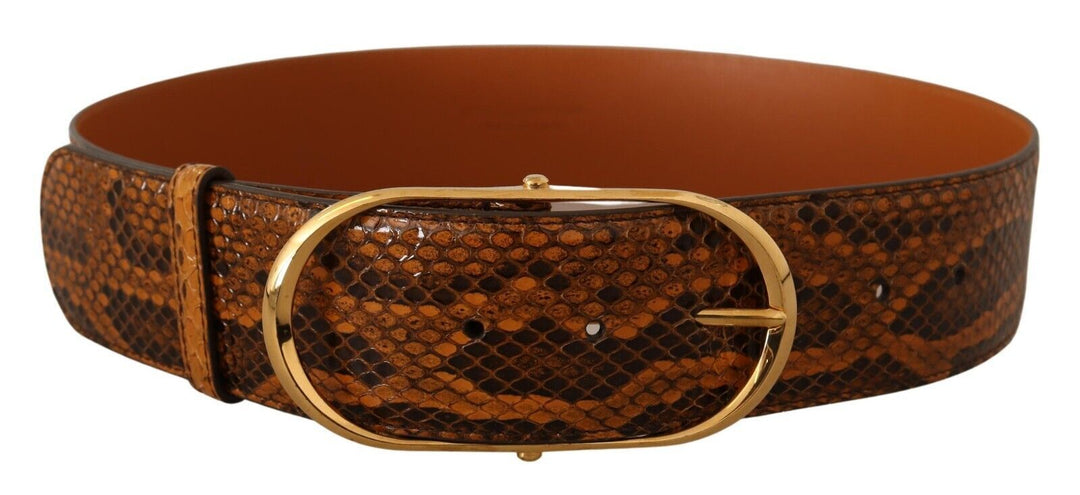  - Dolce & Gabbana Elegant Python Skin Leather Belt - BEL8352 - 80 - Ask Me Wear