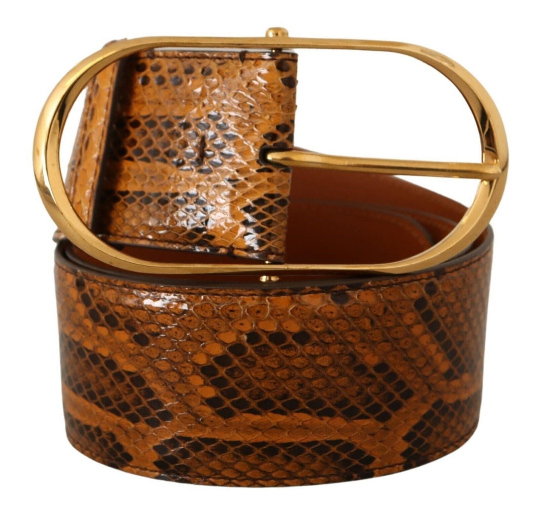  - Dolce & Gabbana Elegant Python Skin Leather Belt - BEL8352 - 80 - Ask Me Wear