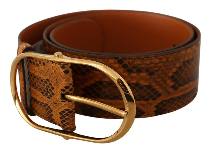  - Dolce & Gabbana Elegant Python Skin Leather Belt - BEL8352 - 80 - Ask Me Wear