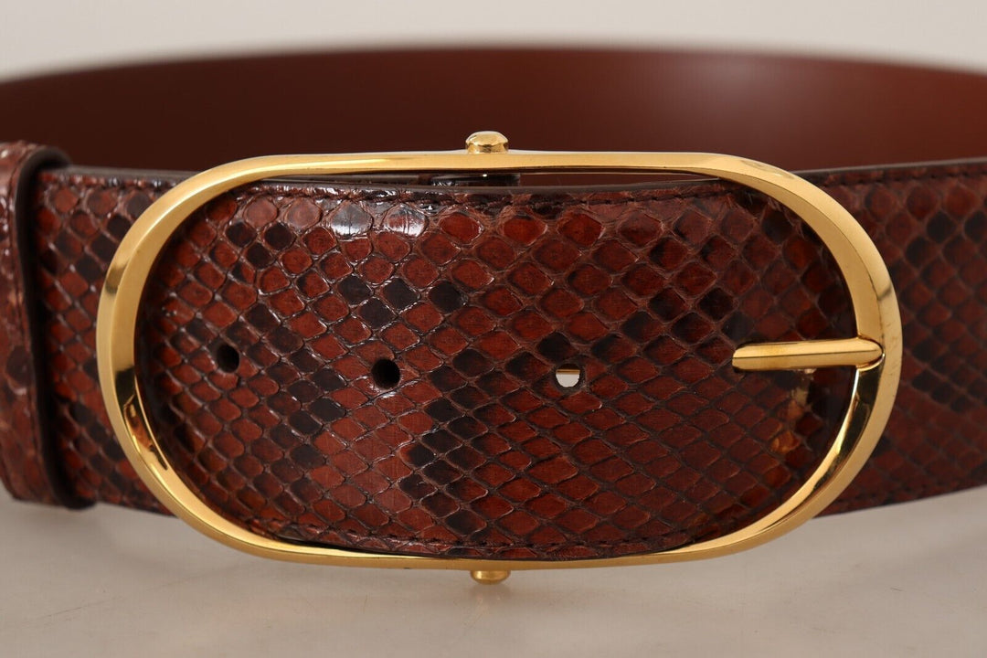  - Dolce & Gabbana Elegant Python Snake Skin Leather Belt - BEL8363 - 70 - Ask Me Wear