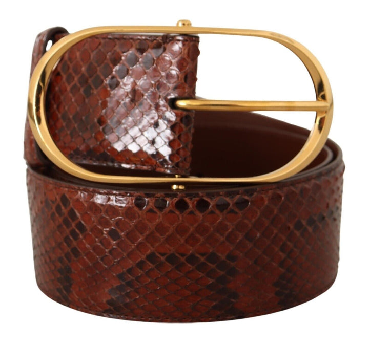  - Dolce & Gabbana Elegant Python Snake Skin Leather Belt - BEL8363 - 70 - Ask Me Wear