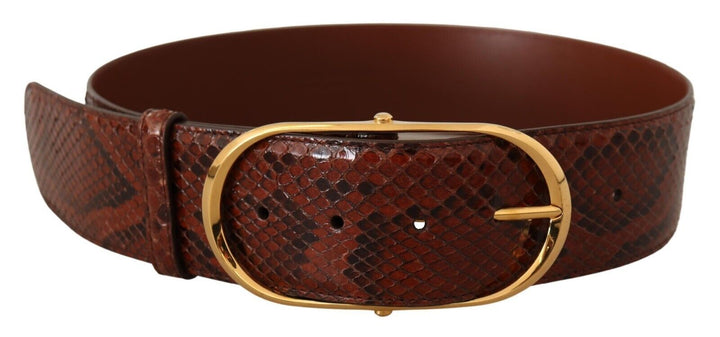  - Dolce & Gabbana Elegant Python Snake Skin Leather Belt - BEL8363 - 70 - Ask Me Wear