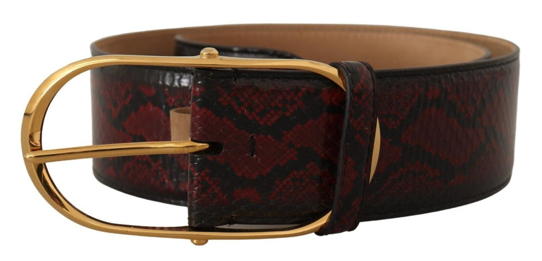  - Dolce & Gabbana Elegant Red Python Leather Belt with Gold Buckle - BEL8365 - 75 - Ask Me Wear