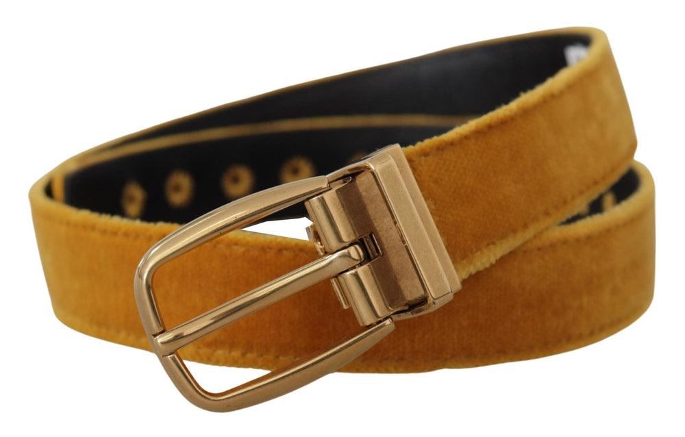  - Dolce & Gabbana Elegant Velvet Gold Buckle Women's Belt - BEL8413 - 65 - Ask Me Wear