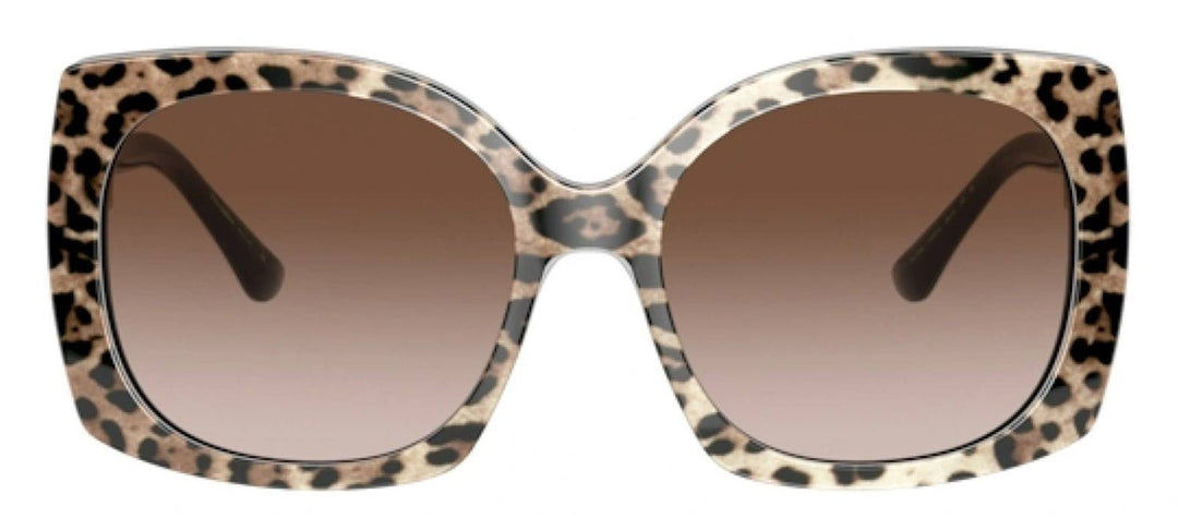 DOLCE & GABBANASunglasses - DOLCE & GABBANA DG 4385F 316313 Square Leo Brown On Black Acetate Sunglasses with Brown Gradient Dark Brown Lens - DG_4385F_316313_58mm - Ask Me Wear