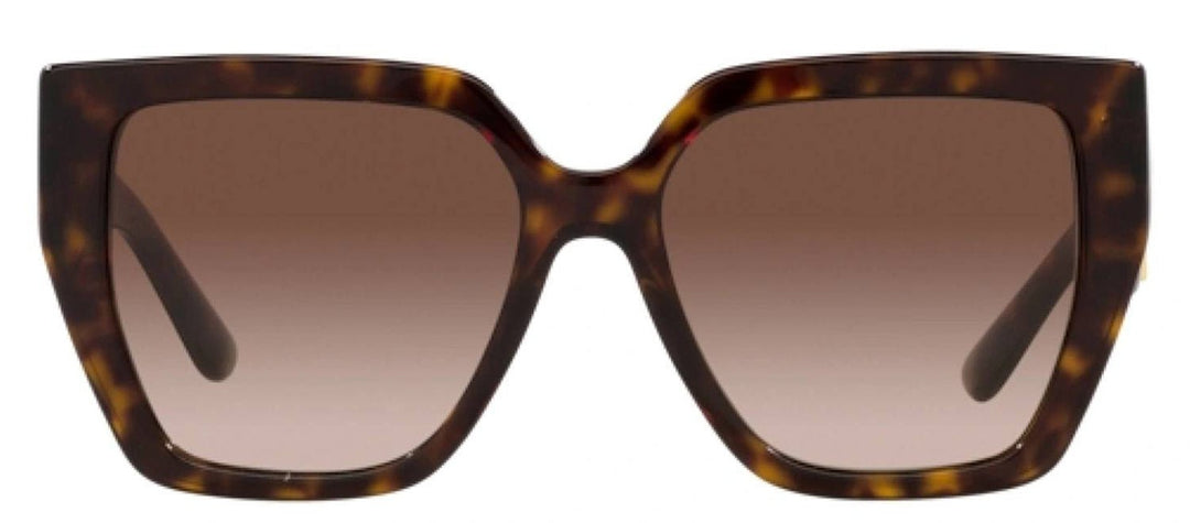 DOLCE & GABBANASunglasses - DOLCE & GABBANA DG 4438F 502/13 Square Havana Acetate Sunglasses with Gradient Brown Lens - DG_4438F_502/13_55mm - Ask Me Wear