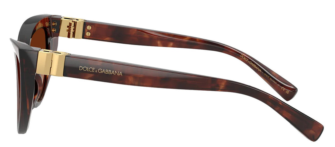 DOLCE & GABBANASunglasses - DOLCE & GABBANA DG 4497 322274 Cat Eye Dark Red Havana Acetate Sunglasses with Brown Gradient Lens - DG_4497_322274_52mm - Ask Me Wear
