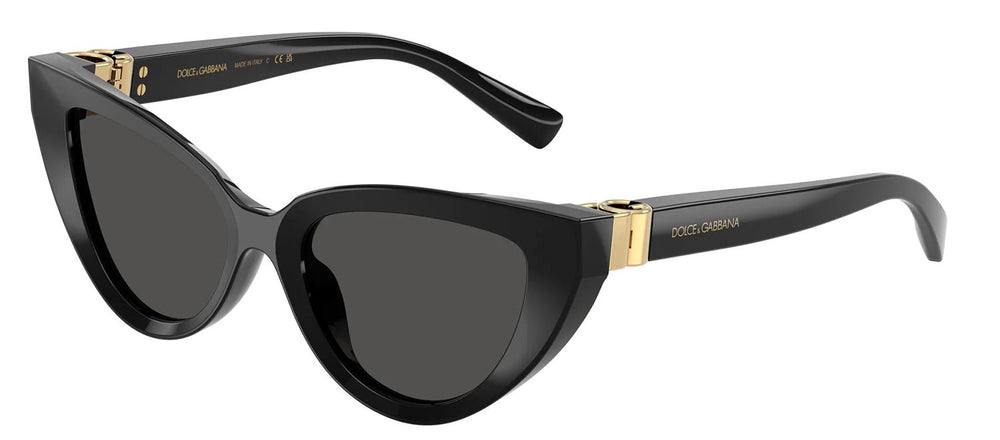 DOLCE & GABBANASunglasses - DOLCE & GABBANA DG 4497 501/87 Cat Eye Black Acetate Sunglasses with Dark Grey Lens - DG_4497_501/87_52mm - Ask Me Wear
