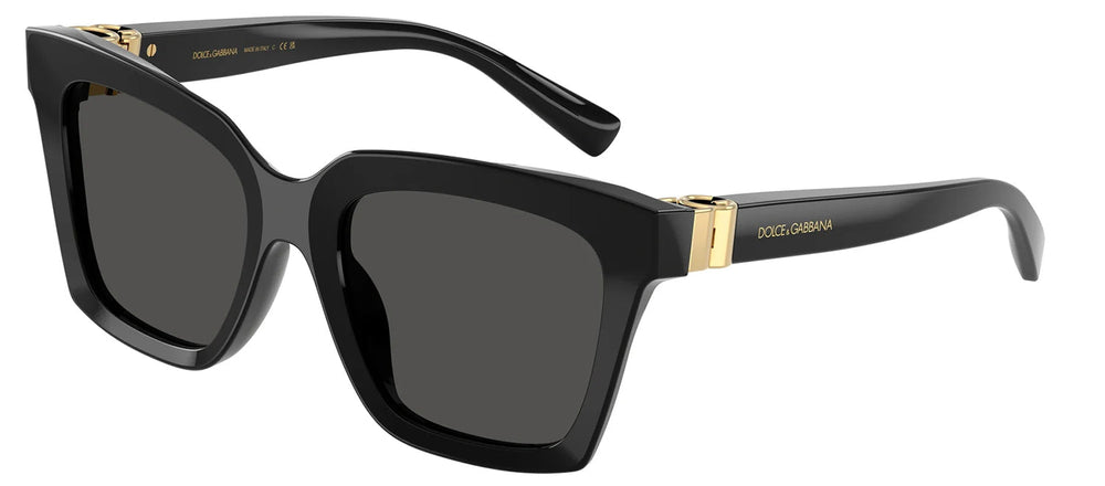 DOLCE & GABBANASunglasses - DOLCE & GABBANA DG 4498 501/87 Square Black Acetate Sunglasses with Dark Grey Lens - DG_4498_501/87_55mm - Ask Me Wear