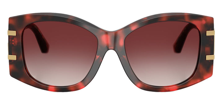DOLCE & GABBANASunglasses - DOLCE & GABBANA DG 4501 33588H Butterfly Red Havana Acetate Sunglasses with Clear Gradient Dark Brandy Lens - DG_4501_33588H_54mm - Ask Me Wear