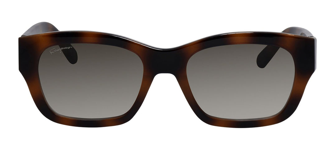 Salvatore FerragamoSunglasses - Salvatore Ferragamo SF 1012S 5319214 Square Plastic Tortoise Sunglasses with Grey Gradient Lens - SF_1012S_5319214_53mm - Ask Me Wear