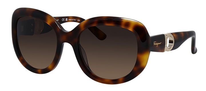 Salvatore FerragamoSunglasses - Salvatore Ferragamo SF 727S 214 Round Plastic Tortoise Sunglasses with Brown Lens - SF_727S_214_53mm - Ask Me Wear
